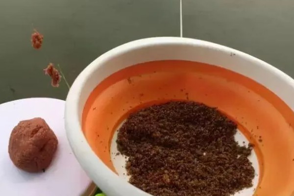 冬天钓鲫鱼是钓深还是钓浅，钓深比较合适