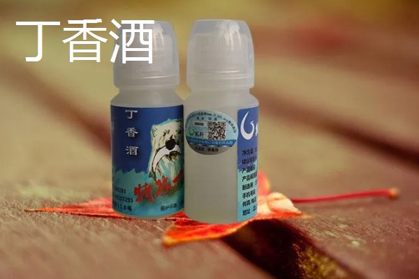 冬天钓鲫鱼是钓深还是钓浅，钓深比较合适