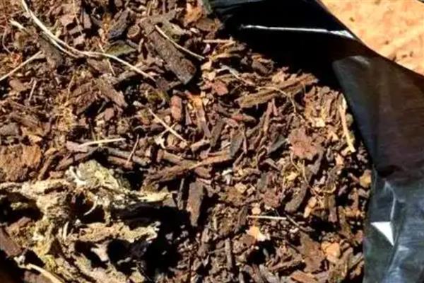 干柳树皮怎样养花，可作为垫底的基质