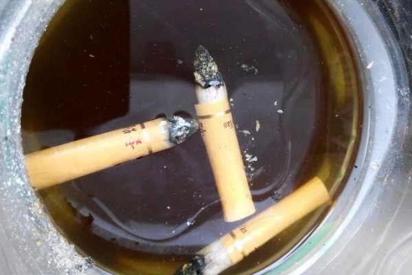 花盘里有小白虫子的解决方法，可以喷洒辣椒水、胡椒水等