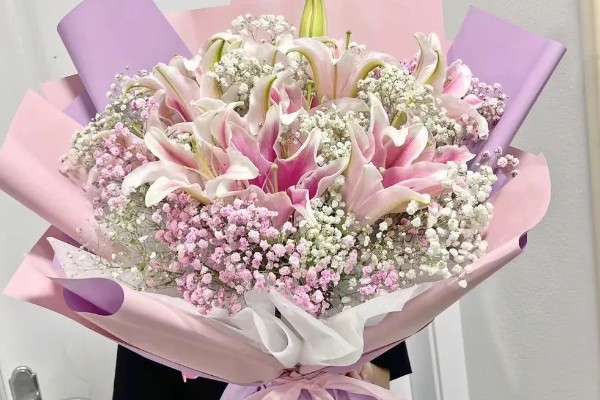 满天星的花语，寓意思念、关怀、纯洁天真等