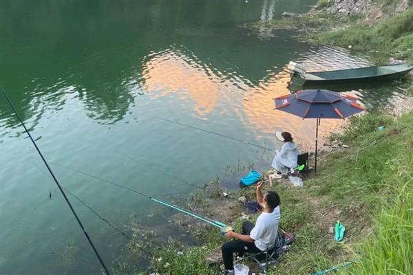 窝料和饵料要一致吗，是不需要一致的