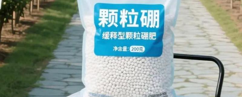 硼肥是哪种肥料，指以硼砂、硼酸等为主的微量元素肥料