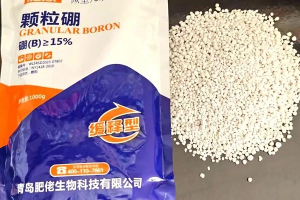 硼肥什么时候施，植株幼苗期施为佳