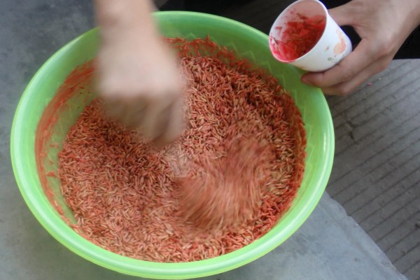 硼肥是哪种肥料，指以硼砂、硼酸等为主的微量元素肥料