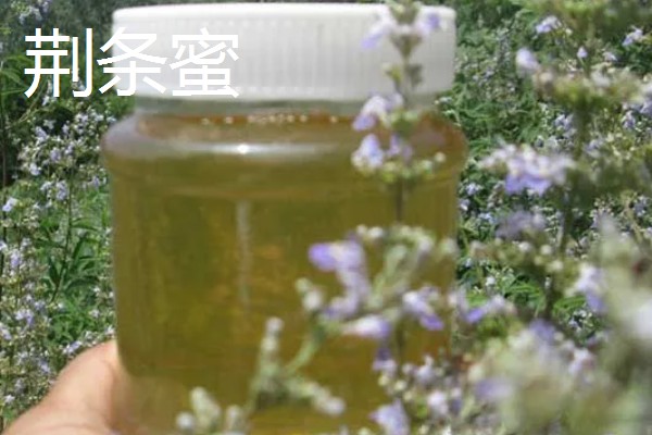 荆条蜜和槐花蜜对比，后者的色泽和口感都更好
