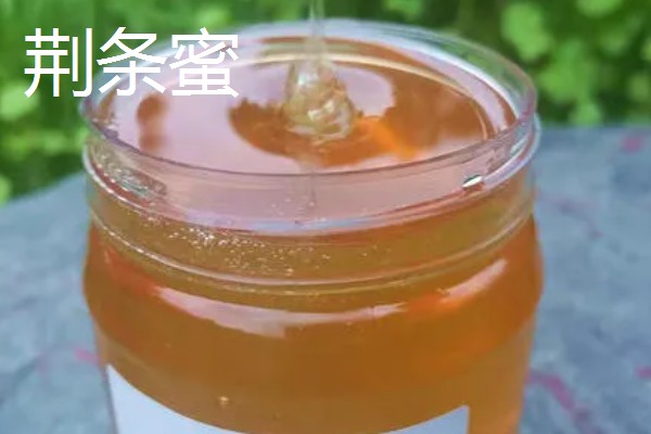 荆条蜜和槐花蜜对比，后者的色泽和口感都更好