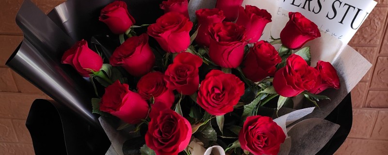 怎么养收到的玫瑰花束，可以在水中加一些保鲜剂