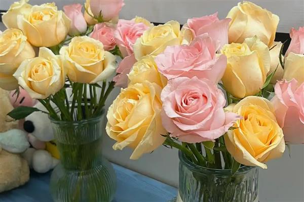 怎么养收到的玫瑰花束，可以在水中加一些保鲜剂