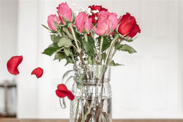 怎么养收到的玫瑰花束，可以在水中加一些保鲜剂