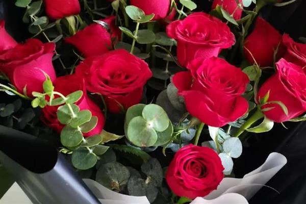 怎么养收到的玫瑰花束，可以在水中加一些保鲜剂