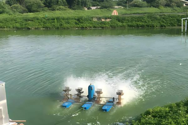 鱼塘如何管理，要定期处理池塘中的残饵、死鱼等