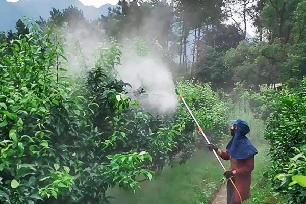 苯醚甲环唑防治什么病，可防治柑橘疮痂病、砂皮病等