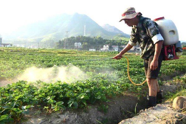 苯醚甲环唑防治什么病，可防治柑橘疮痂病、砂皮病等