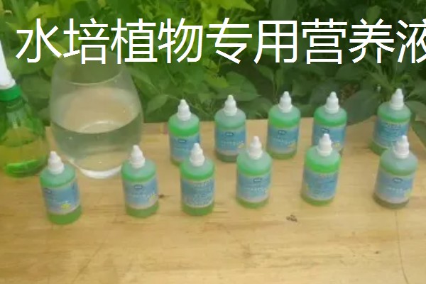水培养花用什么肥料，氮磷钾是必须的养分