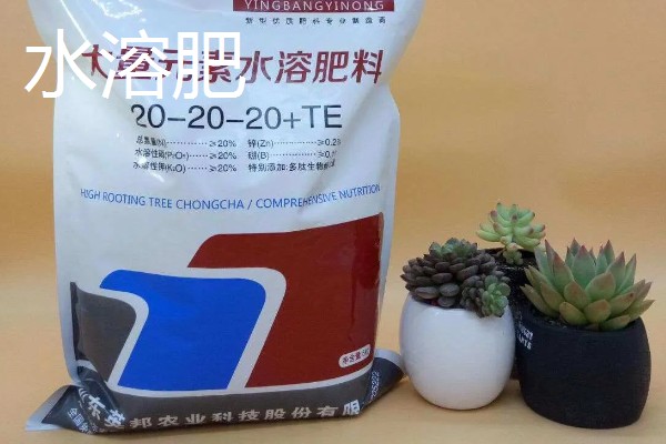 水培养花用什么肥料，氮磷钾是必须的养分