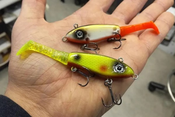 钓马口鱼用哪种饵料,红虫、蚯蚓、商品饵等类型均适合使用