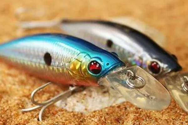 钓马口鱼用哪种饵料,红虫、蚯蚓、商品饵等类型均适合使用