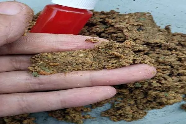 钓马口鱼用哪种饵料,红虫、蚯蚓、商品饵等类型均适合使用