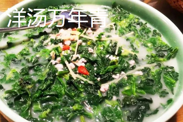 万年青的吃法，可盐焗、凉拌等