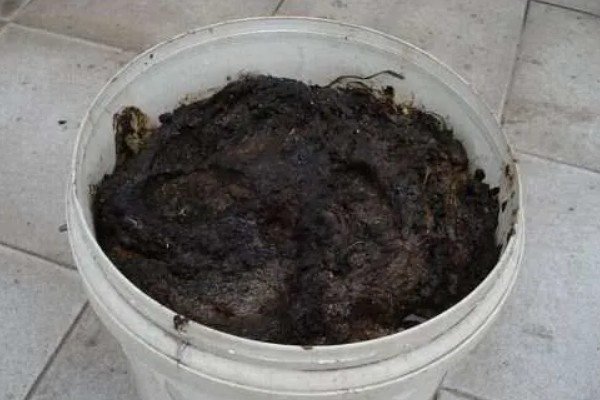 菜饼肥发酵多久才可以用,夏季需要发酵一个月