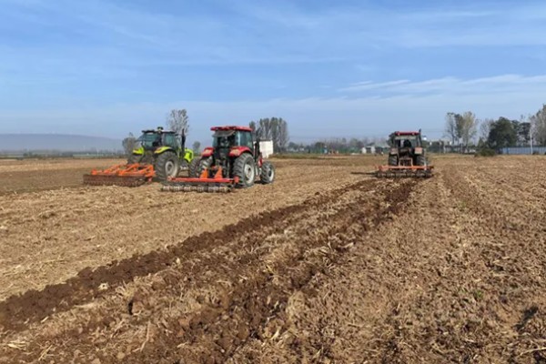胡萝卜怎么育苗，播种前用温水浸种可加快发芽速度