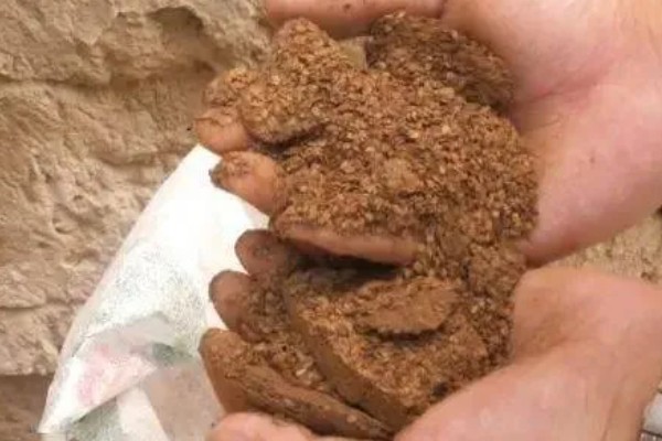 菜饼肥发酵多久才可以用,夏季需要发酵一个月