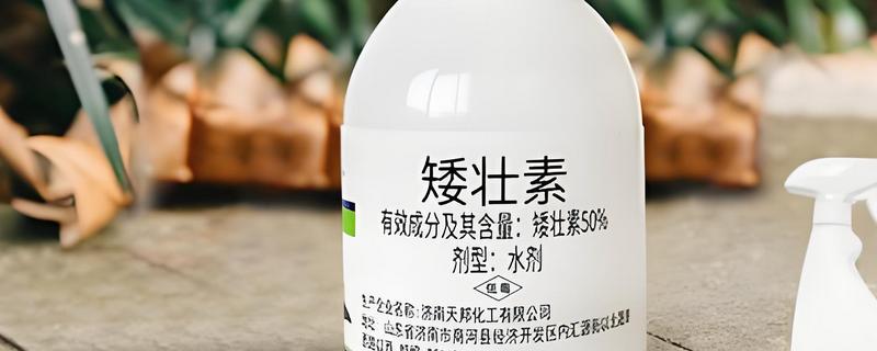 矮壮素可以和磷酸二氢钾一起用吗，二者可以一起用