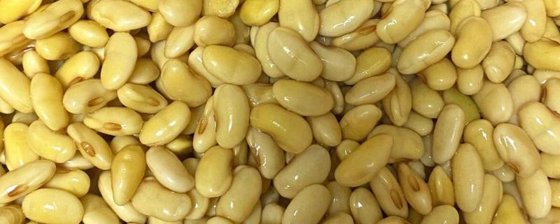 怎么制作液体肥料，采取以下3种方式