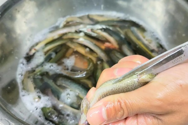 泥鳅如何去土腥味，可以撒盐或焯水
