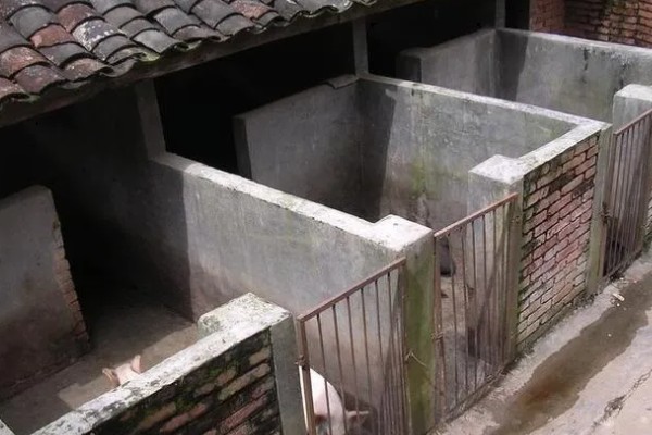 怎么建小型猪舍，一般使用砖砌墙