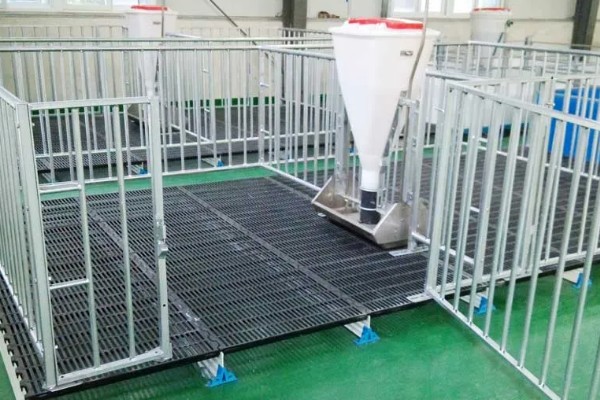 怎么建小型猪舍，一般使用砖砌墙