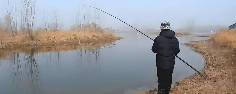 冬季钓鲤鱼如何选择钓位,选择水深2米以上的水草区