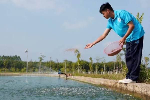 鲳鱼的人工养殖方法，放苗前使用食盐溶浸洗鱼体