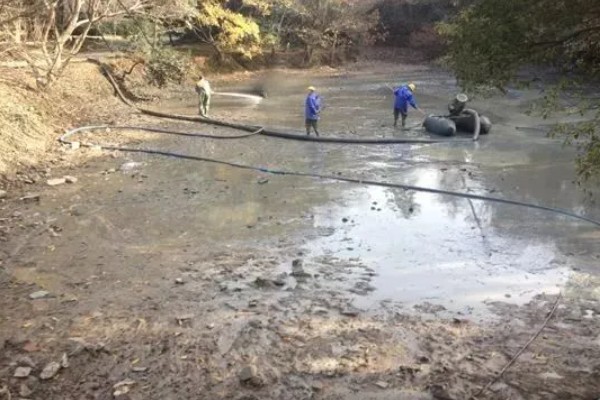 鲳鱼的人工养殖方法，放苗前使用食盐溶浸洗鱼体