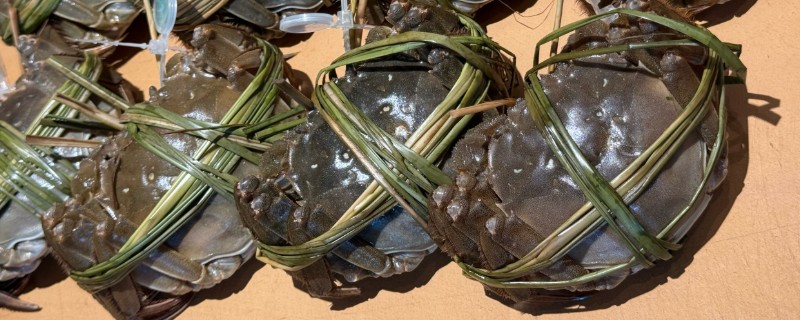 过夜大闸蟹能不能吃，煮熟后超过24小时便不可食用