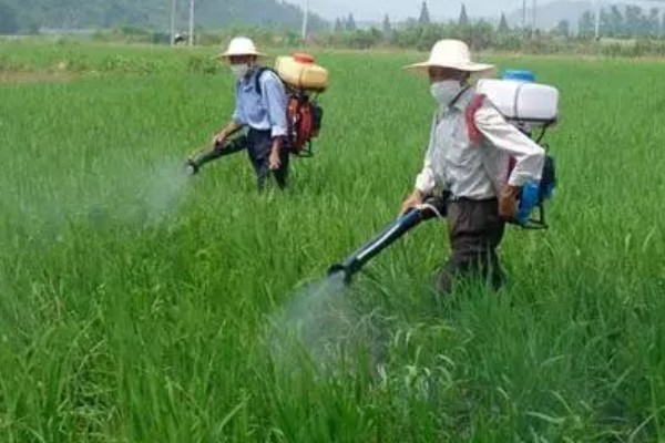 水稻病虫害的农药防治技术，不同病害的防治方法不同
