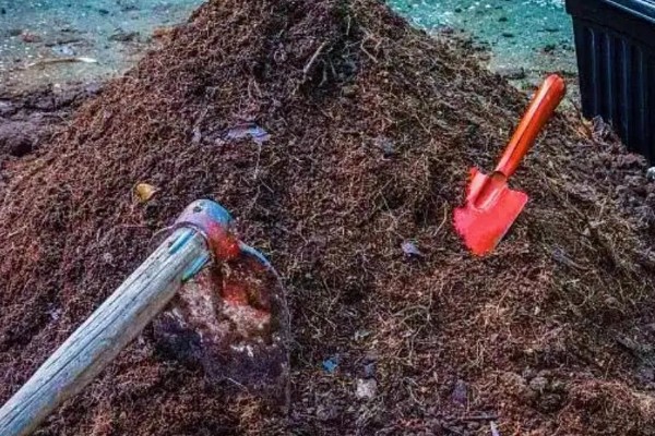 怎么制作液体肥料，采取以下3种方式