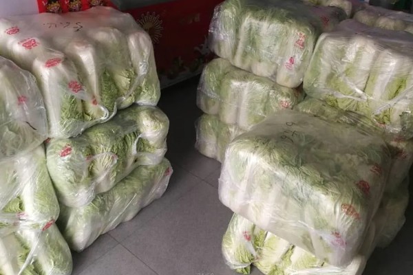 白菜的亩产量,亩产量在5000-10000斤之间