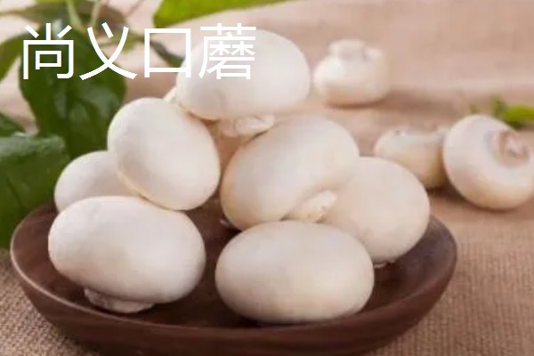 河北尚义县的特产，有尚义土豆、尚义莜面等