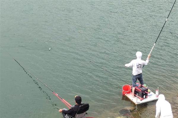 夏天水库钓鲫鱼用什么饵料,用谷物饵的效果好
