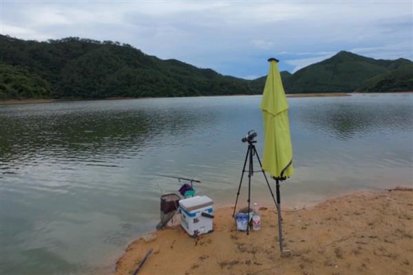 夏天水库钓鲫鱼用什么饵料,用谷物饵的效果好