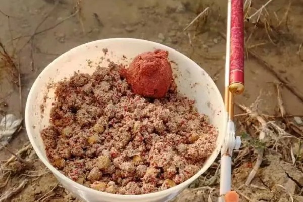 蚯蚓钓鱼是活还是死的好，活的比死的好