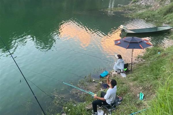 用猪母乳钓鲫鱼怎么配制饵料，搭配味精、碎米、蜂蜜等诱饵一起使用