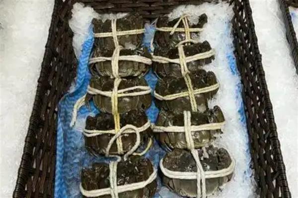 大闸蟹的上市时间，一般在9月中旬