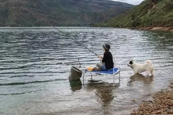 传统钓所用鱼竿，以溪流竿、传统长竿为主