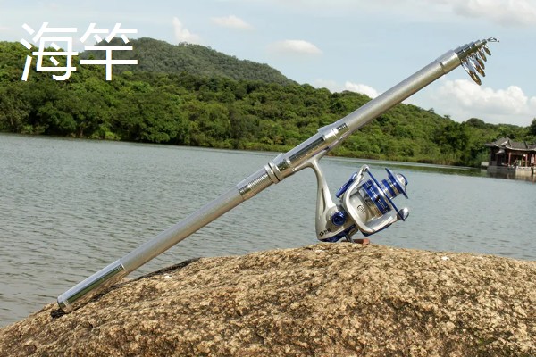 传统钓所用鱼竿，以溪流竿、传统长竿为主