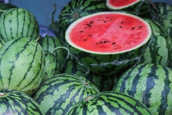 麒麟西瓜为什么贵，是产量及物流成本所导致的