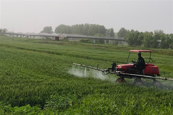 想让小麦增产打哪种药，喷施芸苔素能提高光合效率