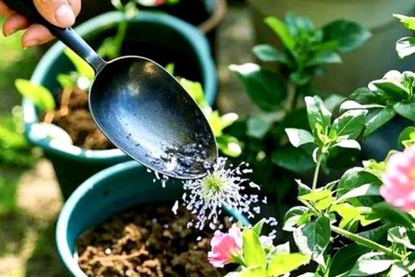 冬季积肥的意思，指精心储存生物菌肥